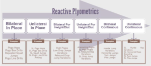 Reactive Strength Index & Chart – Sport Science Insider