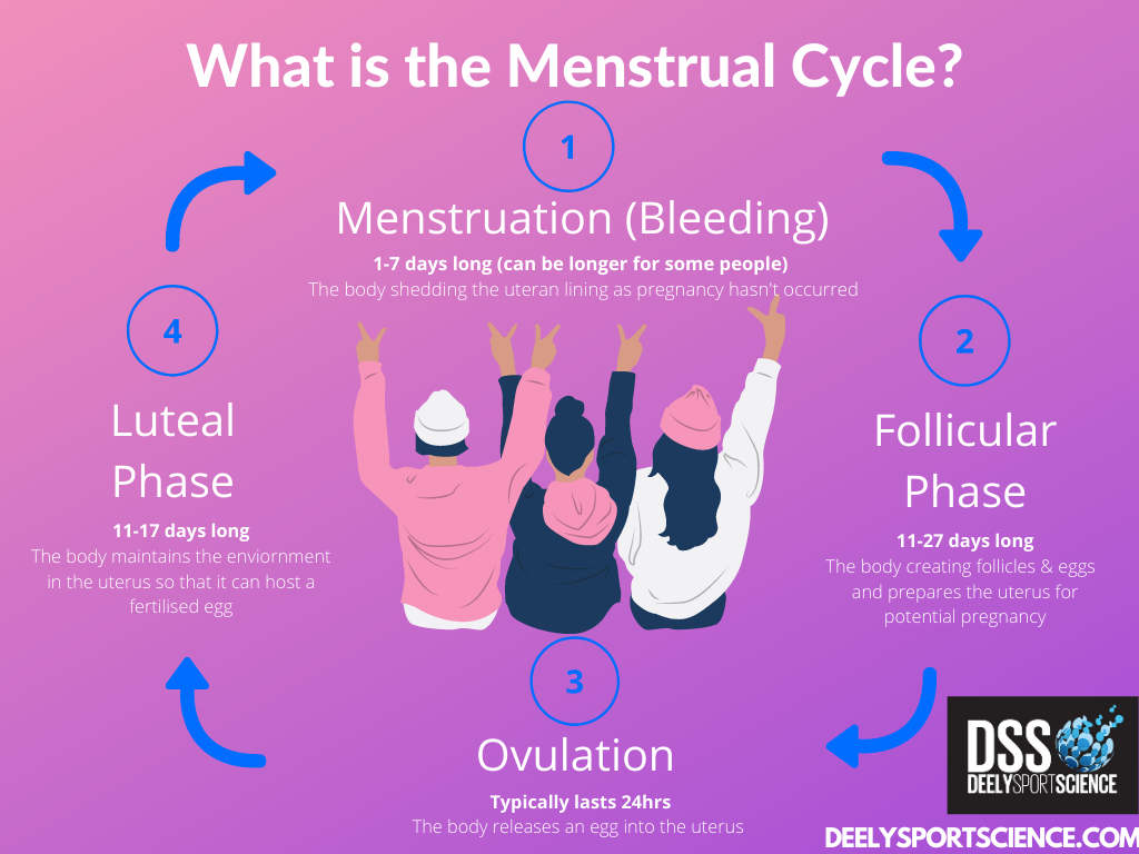 The Female Athlete: Understanding Your Menstrual Cycle